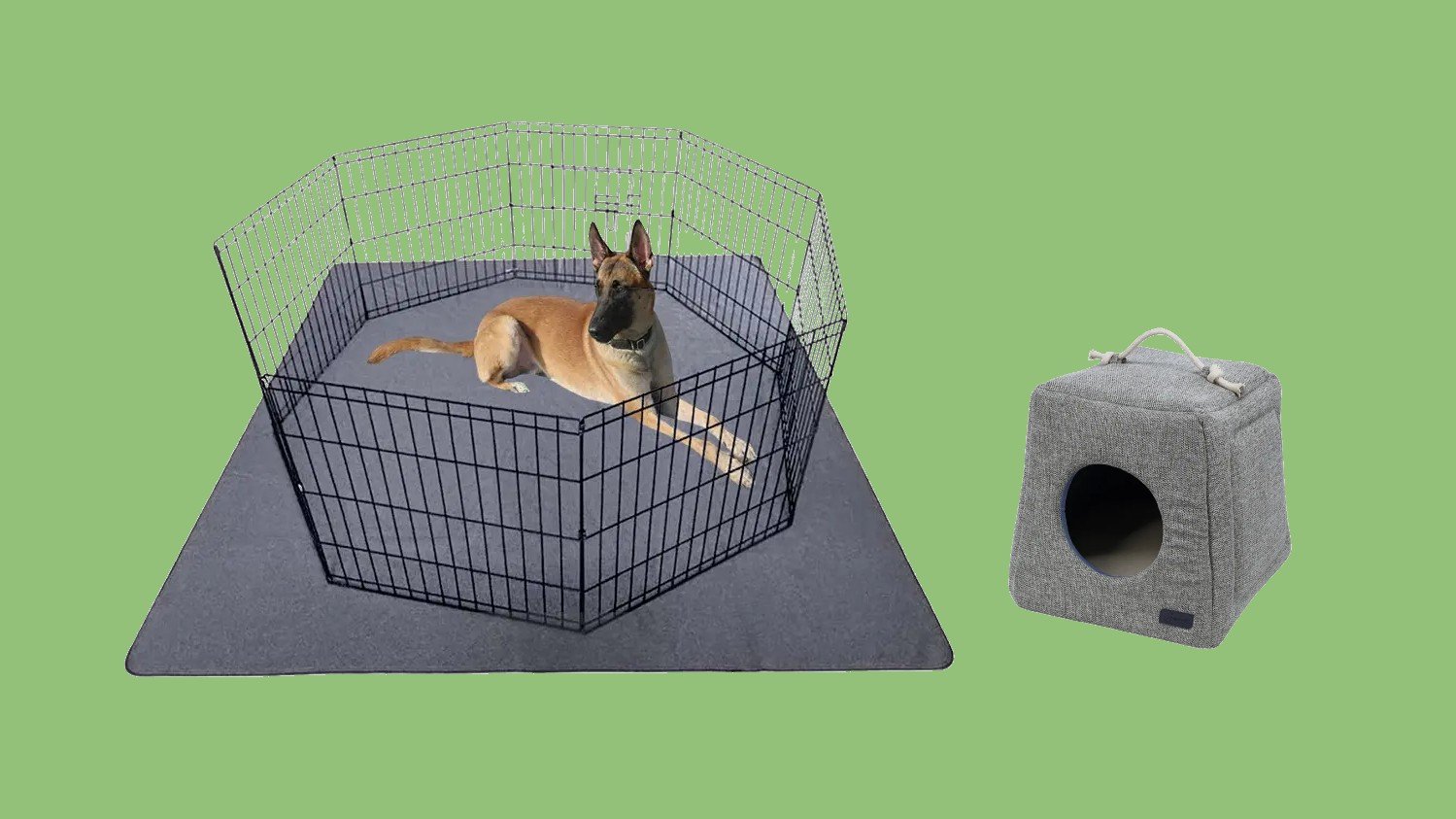 Pet