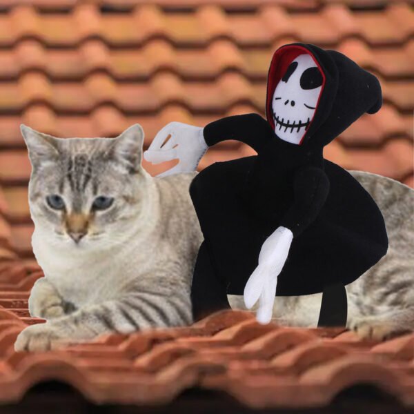 NEW Funny Pet Halloween Costume Halloween Pet Decoration Dress Up Pet Cosplay Costume Halloween Pet Clothes Spider Pumpkin Vest - Image 6