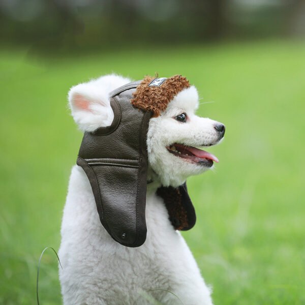 Pet Supplies Autumn Winter Dog Hat