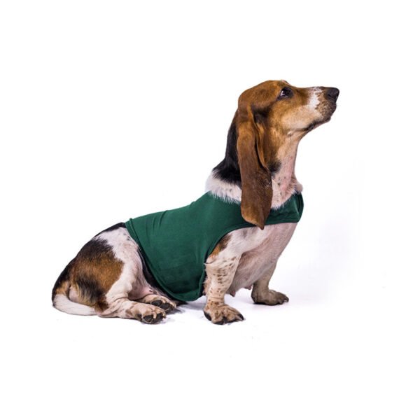 Anxiety Jacket Vest Summer Medical Treatment To Calm Down Cat Clothes Dog Comfort Clothes - Image 4