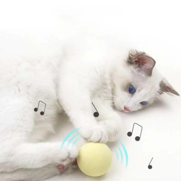 New Gravity Ball Smart Touch Sounding Toys Interactive Squeak Toys Ball Pet Training Toy - Image 5