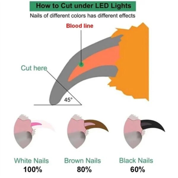 Pet Nail Clippers With LED Light Dogs Cat Nail Scissors Professional Trimmer Tool Care Grooming Supplies - Image 6