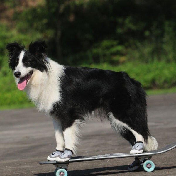 Pet Shoes Wear-resistant And Breathable Big Dog - Image 4