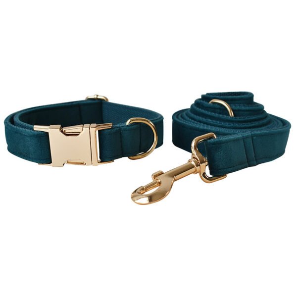 Dog Leash Pet Collar With Alloy Carabiner - Image 4