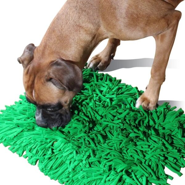Pets. Sniffing pads. Exhausting energy - Image 3