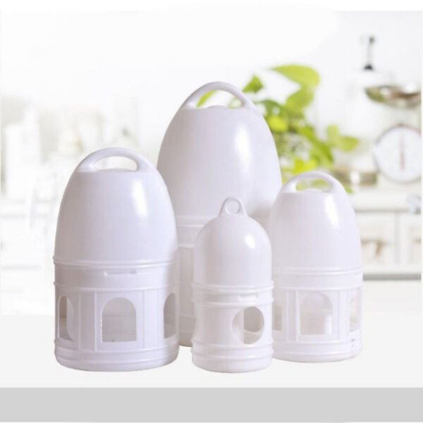 Pigeon drinking bottle