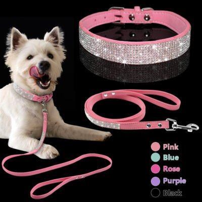 Fashion shiny diamonds dog collar