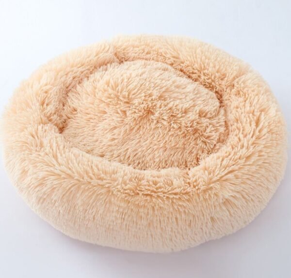 pet room - Image 5