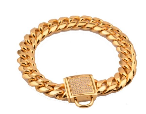 Stainless steel titanium steel gold encryption chain - Image 2