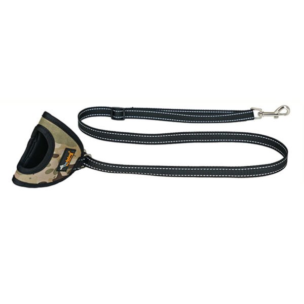A pet on a harness - Image 4