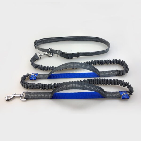 Amazon direct pet supplies multi-function running reflective pull dog leash double elastic dog leash traction - Image 6