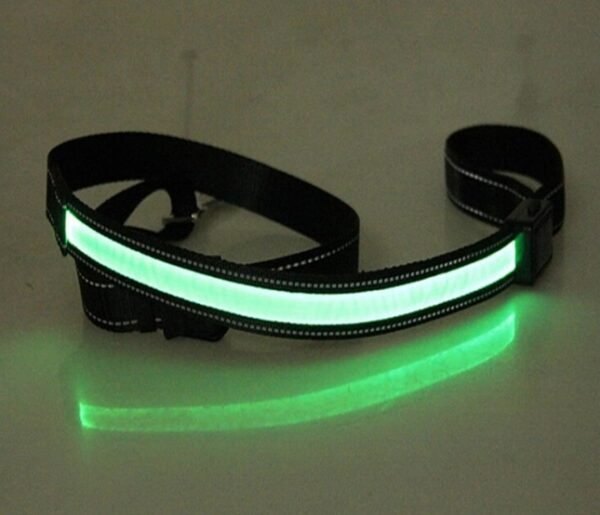 Fluorescent dog collar - Image 9