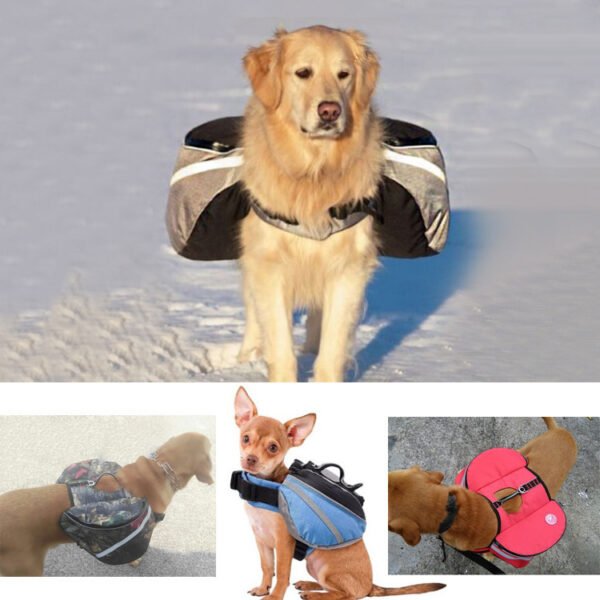 Dogs go out from backpack - Image 6