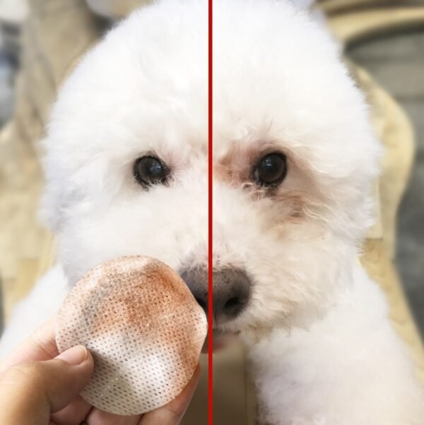 Pets to tears wipes Teddy Bear Xiong Bomei cat eyes tear stains cleaning paper towels pet supplies 100 pieces - Image 4