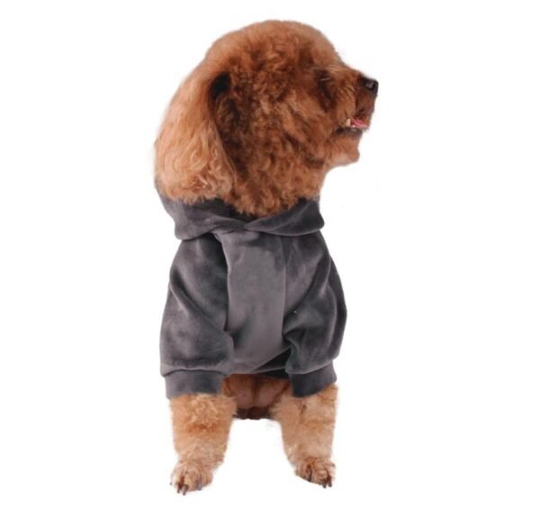 Hot dog clothes - Image 6