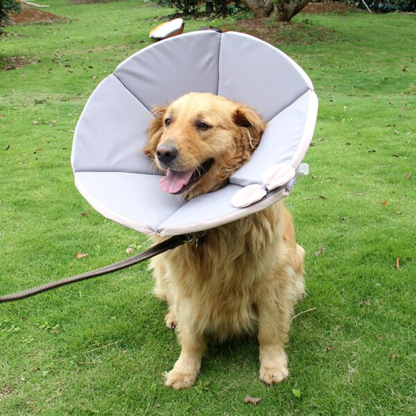 Pet Supplies Dog Sick Care Collar - Image 2