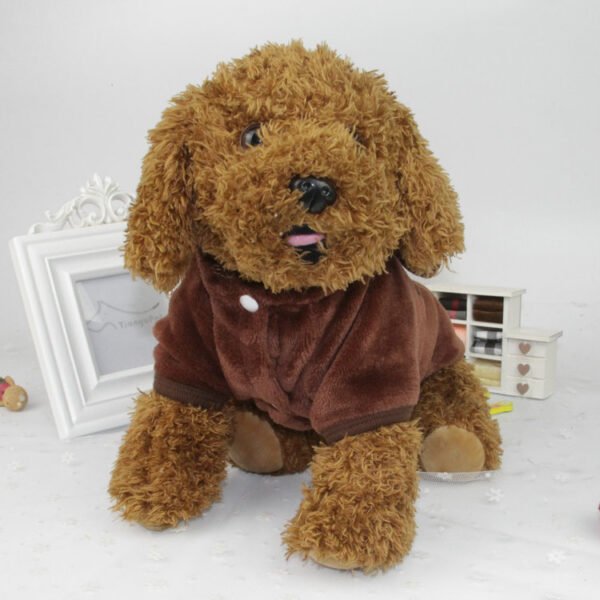 Cartoon transformed pet clothes - Image 3