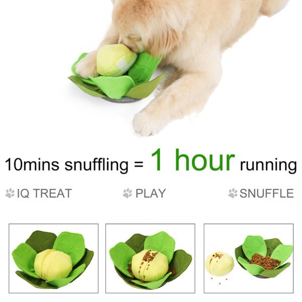 Puzzle Dog Bowl Pet Supplies - Image 2