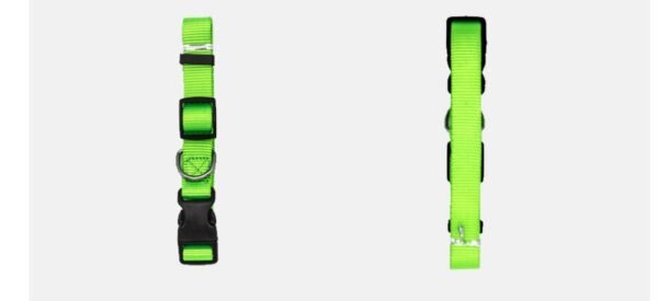 New Pet Collar - Image 2