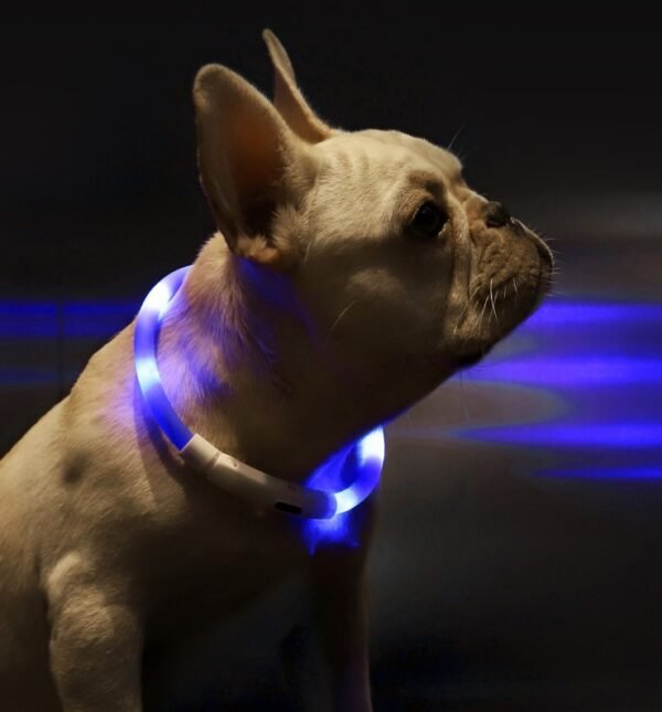Pet Light Collar Anti-Lost Collar for Dogs Pet Collars - Image 3
