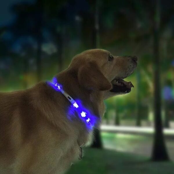 Pet Light Collar Anti-Lost Collar for Dogs Pet Collars - Image 4