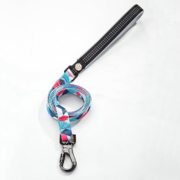 Pet supplies dog leash - Image 8