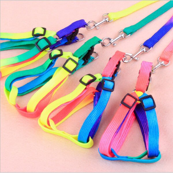 Leashes colorful leashes - Image 6