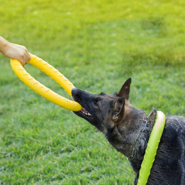 Pet Dog Training Toy Pull Ring - Image 3