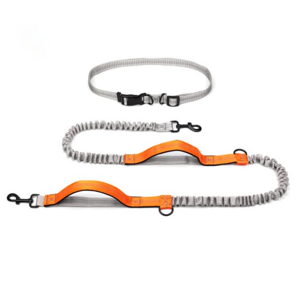 Pet Supplies Outdoor Running Dog Leash - Image 2