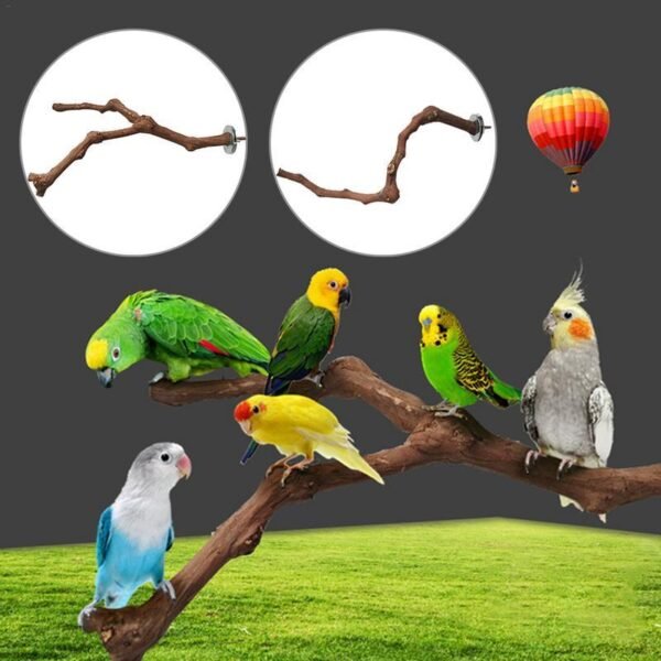 Bird Standing Stick Wild Grape Wood Grinding Claw Stick Perching Stick - Image 2