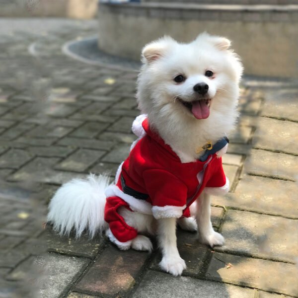 Christmas warm clothes for pets - Image 5