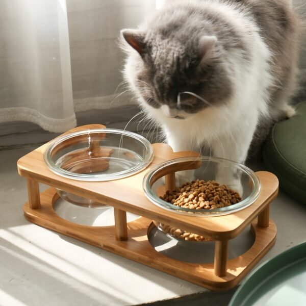 Glass cat bowl cat food bowl cat food bowl - Image 2