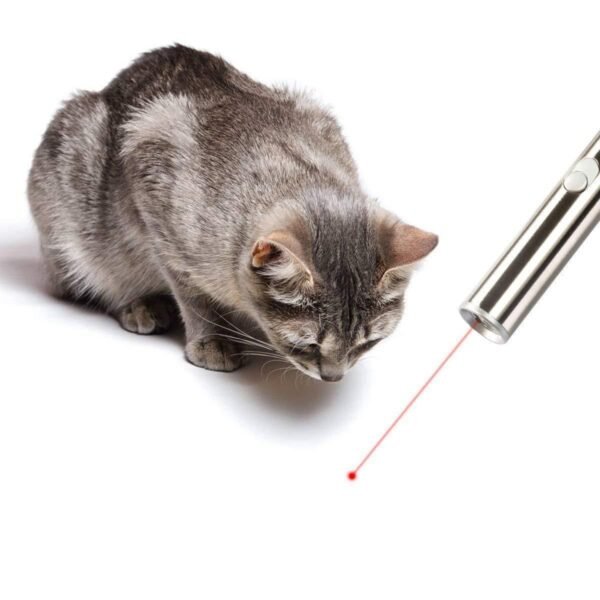 Laser funny cat stick - Image 3