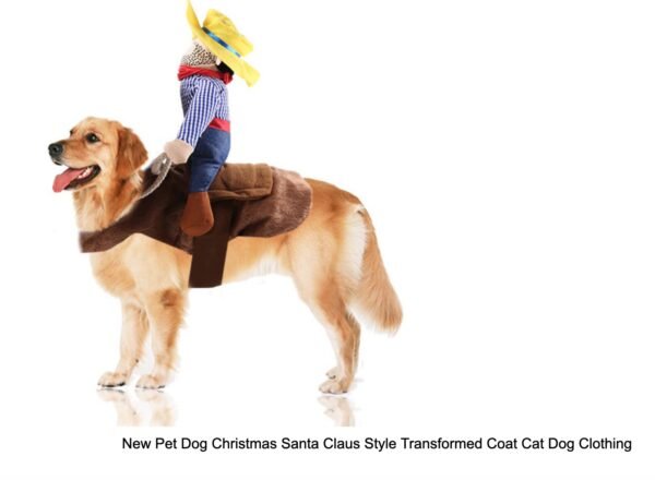 Funny rider clothes for party - Image 2