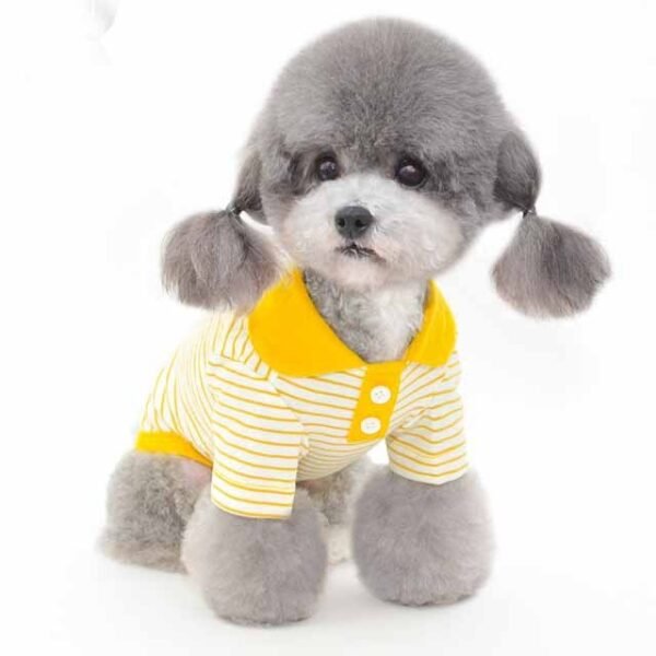 Clothes For Pets - Image 2