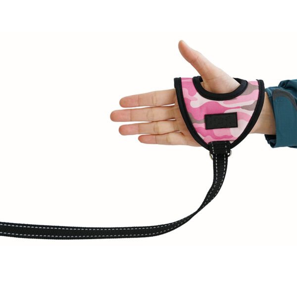 A pet on a harness - Image 5