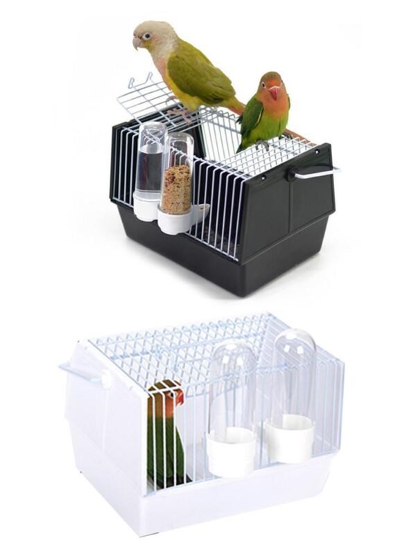Out of the bird cage - Image 5