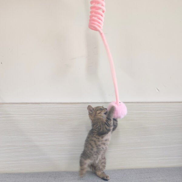 Cat Toy Self-Hi Sucker Spring Rabbit Hair Ball Interactive Play Pet Supplies Interactive Toys - Image 3