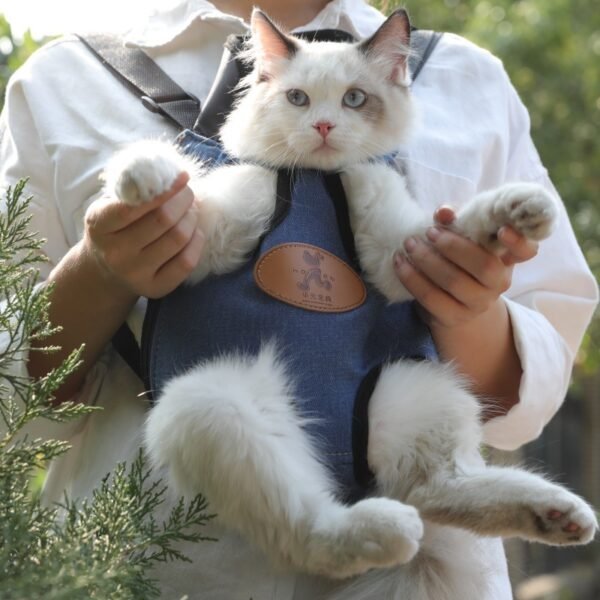 Portable cat backpack for spring outing - Image 2