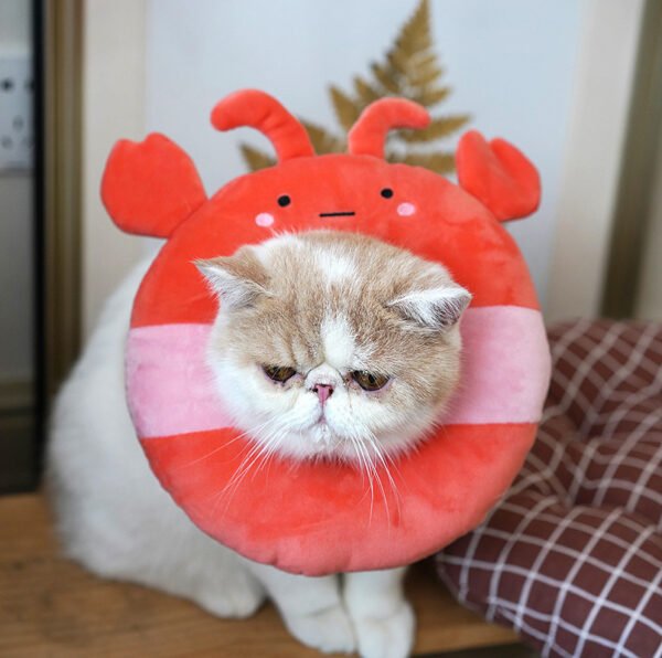 Elizabethan circle cat shame collar cat soft cloth - Image 3