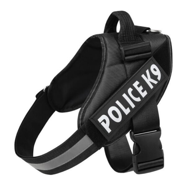 Dog leash - Image 2