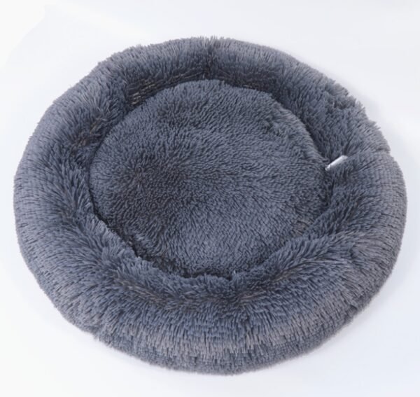 pet room - Image 9