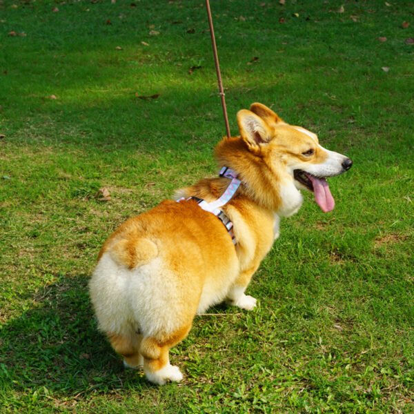 Dog Hand Holding Rope Vest Pet Harness Reflective Stripe - Image 7