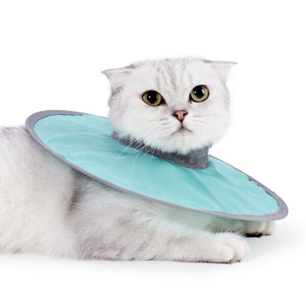Cloth Circle Collar Pet Supplies Cat Supplies - Image 2