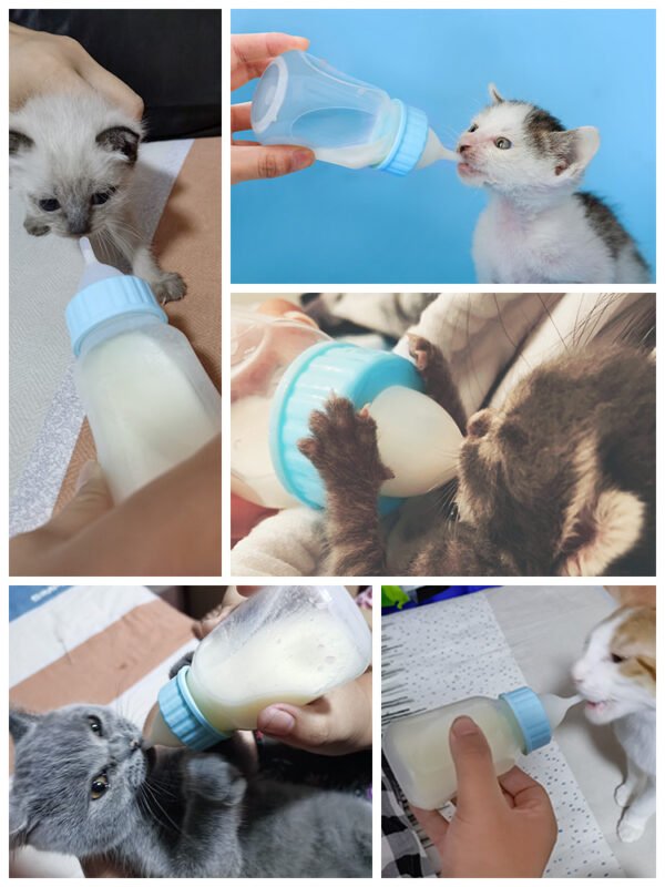 Cat Feeding Bottle Pet Dog Small Pacifier - Image 6