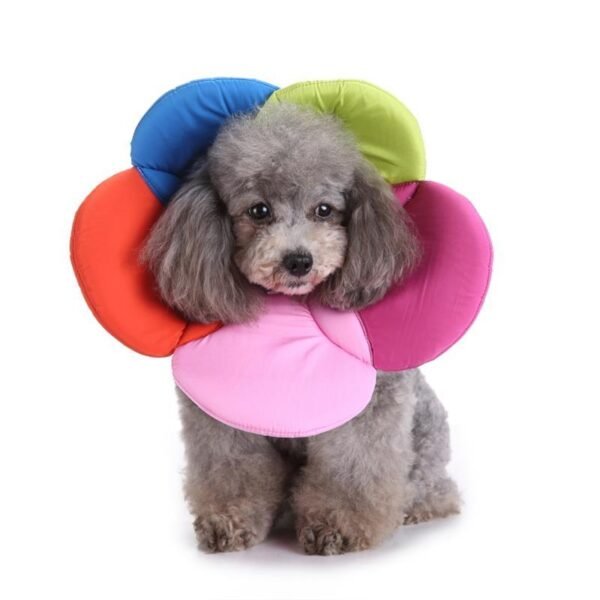 Pet Protection Collar Collar Flower Protection Collar Pet Grooming Kits Dog Bite Ring Birth Control - Image 2