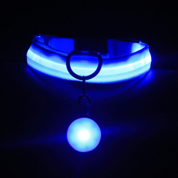 Pet Supplies Dog Collar Luminous Fashion - Image 5