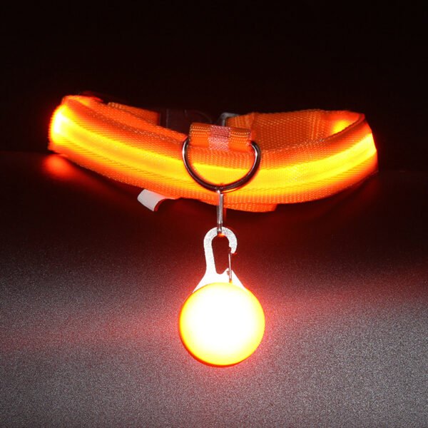 Pet Supplies Dog Collar Luminous Fashion - Image 6