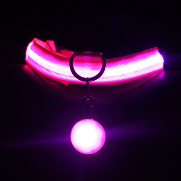 Pet Supplies Dog Collar Luminous Fashion - Image 3
