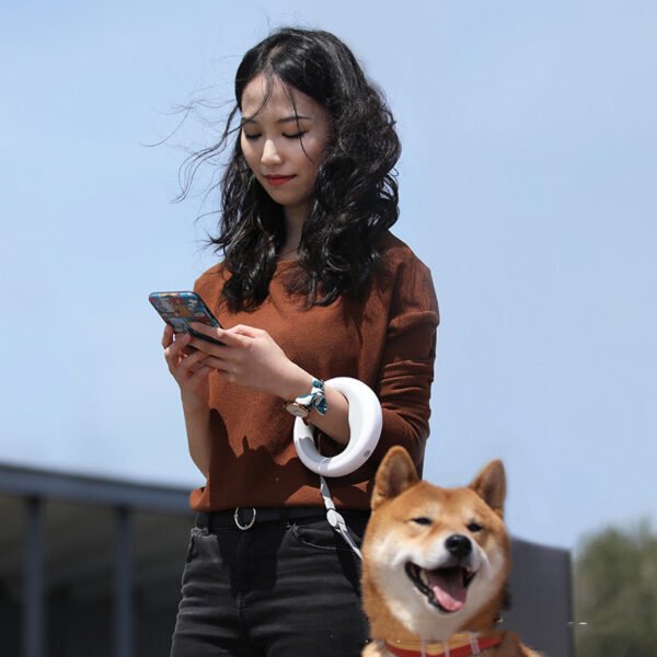 Cute King Star Retractable Pet Leash Dog Leash Dog Chain Leash Collar Amazon Hot - Image 2